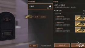 小萌新的甜美装扮