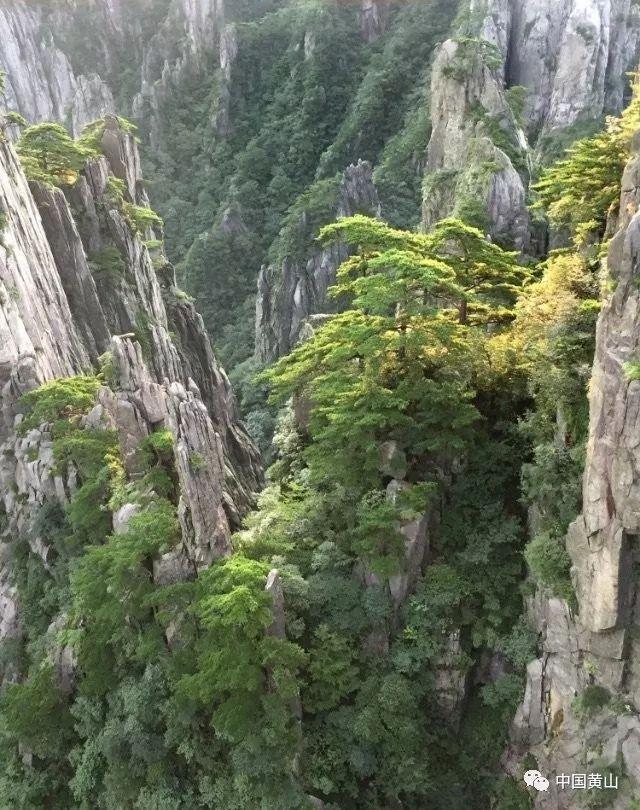 哈尔滨2023年度旅游数据公布：共接待总游客量1.35亿人次，旅游总收入1692.45亿元